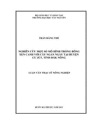 Nghiên cứu một số mô hình trồng bông xen canh với cây ngắn ngày tại huyện Cư Jút, tỉnh Đắk Nông - Trần Đăng Thế