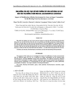 Ảnh hưởng của việc thay đổi môi trường oxi hóa khử bằng sục khí đến tiêu thụ đường ở nấm men bia