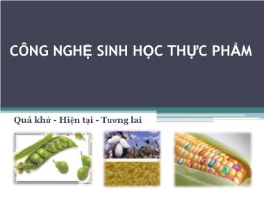 Bài giảng Công nghệ sinh học thực phẩm