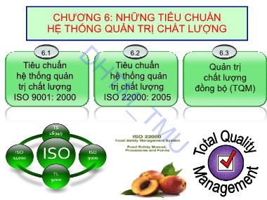 Bài giảng Quản trị Dịch vụ KSDL - Chương 6: Những tiêu chuẩn hệ thống quản trị chất lượng