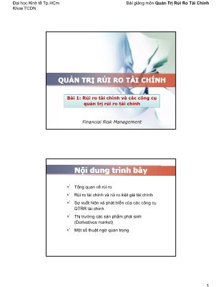 Bài giảng Quản trị Rủi ro tài chính - Bài 1: Rủi ro tài chính và các công cụ quản trị rủi ro tài chính