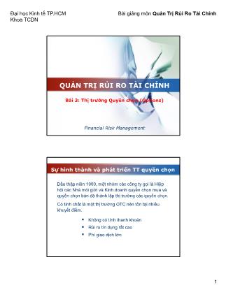 Bài giảng Quản trị Rủi ro tài chính - Bài 2: Thị trường Quyền chọn