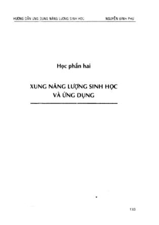 Bài giảng xung năng lượng sinh học và ứng dụng