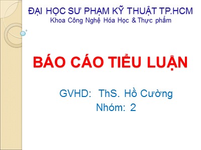 Báo cáo Tiểu luận - Hồ Cường