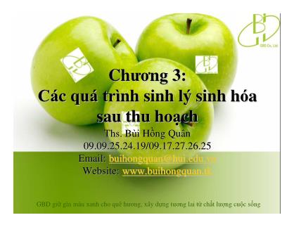 Các quá trình sinh lý sinh hóa sau thu hoạch - Bùi Hồng Quân