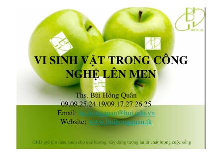 Vi sinh vật trong công nghệ lên men - Bùi Hồng Quân