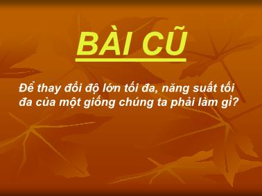 Bài giảng Các phương pháp lai