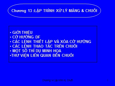 Bài giảng Cấu trúc máy tính - Chương 13: Lập trình xử lý mảng và chuỗi