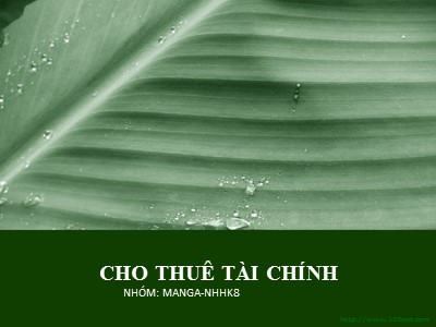 Bài giảng Cho thuê tài chính