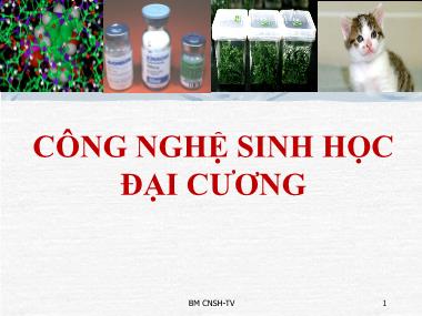 Bài giảng Công nghệ sinh học đại cương - Chương 1: Lịch sử phát triển Công nghệ Sinh học - Ninh Thị Thảo