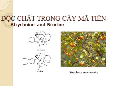 Bài giảng Độc chất trong cây mã tiền