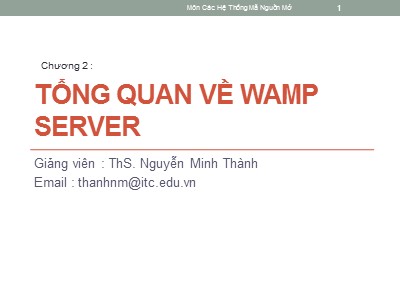 Bài giảng Hệ thống mã nguồn mở - Chương 2: Tổng quan về Wamp server - Nguyễn Minh Thành