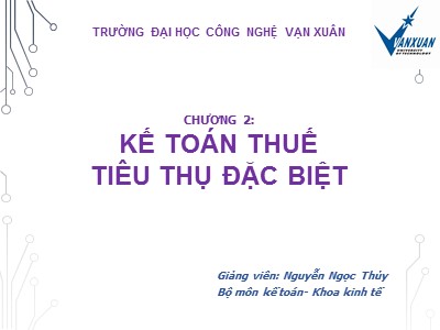 Bài giảng Kế toán - Chương 2: Kế toán thuế tiêu thụ đặc biệt - Nguyễn Ngọc Thúy