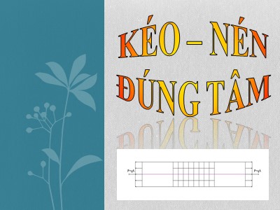 Bài giảng Kéo-Nén đúng tâm (Chuẩn kiến thức)