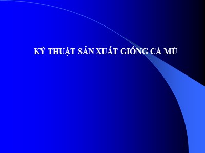 Bài giảng Kỹ thuật sản xuất giống cá mú