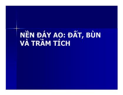 Bài giảng Quản lý môi trường ao nuôi thủy sản - Chương 6a: Nền đáy ao-đất, bùn và trầm tích