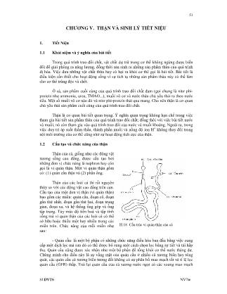 Bài giảng Sinh lý học động vật thủy sản - Chương 5: Thận và sinh lý tiết niệu