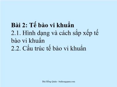 Bài giảng Vi sinh - Bài 2: Tế bào vi khuẩn - Bùi Hồng Quân