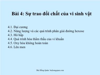 Bài giảng Vi sinh - Bài 4: Sự trao đổi của vi sinh vật - Bùi Hồng Quân