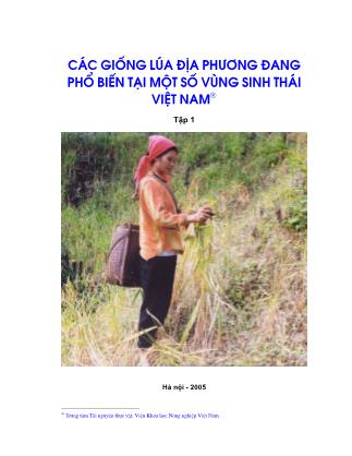 Các giống lúa địa phương đang phổ biến tại mộ số vùng sinh thái Việt Nam