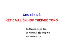 Chuyên đề Kết cấu liên hợp thép-Bê tông - Nguyễn Hồng Sơn