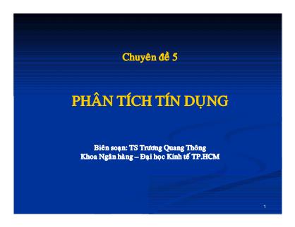 Chuyên đề: Phân tích tín dụng - Trương Quang Thông