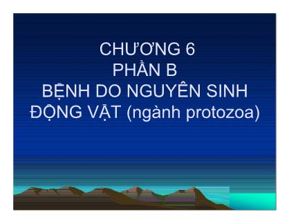 Giáo trình Bệnh truyền nhiễm - Chương 6: Bệnh do nguyên sinh động vật