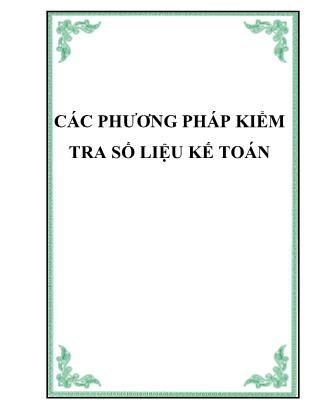 Giáo trình Các phương pháp kiểm tra số liệu Kế toán