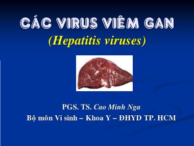 Giáo trình Các Virus viêm gan - Cao Minh Nga