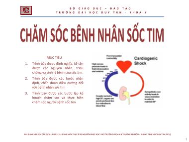 Giáo trình Chăm sóc bệnh nhân sốc tim