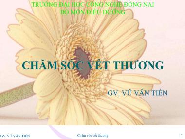 Giáo trình Chăm sóc vết thương - Vũ Văn Tiến