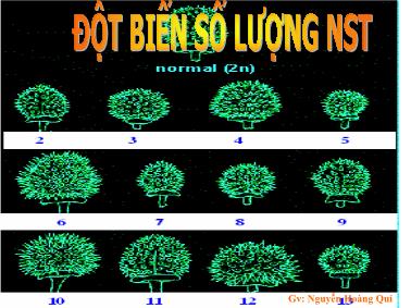 Giáo trình Đột biến số lượng nhiễm sắc thể