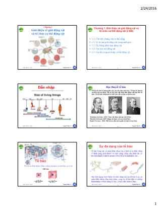 Giáo trình Giới thiệu về giới động vật và tổ chức cơ thể động vật