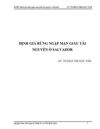 Giáo trình Kinh tế môi trường - Định giá rừng ngập mặn giàu tài nguyên ở salvador - Phan Thị Giác Tâm