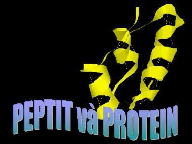 Giáo trình Peptit và Protein