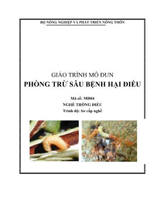 Giáo trình Phòng trừ sâu bệnh hại điều - Mô đun 4: Nghề trông điều