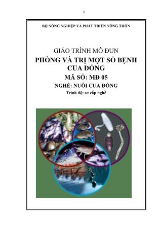 Giáo trình Phòng và trị một số bệnh cua đồng - Mô đun 5: Nuôi cua đồng