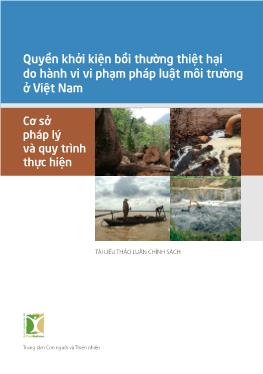 Giáo trình Quyền khởi kiện bồi thường thiệt hại do hành vi vi phạm pháp luật môi trường ở Việt Nam