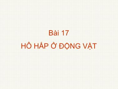 Giáo trình Sinh học Lớp 11 - Bài 17: Hô hấp ở động vật