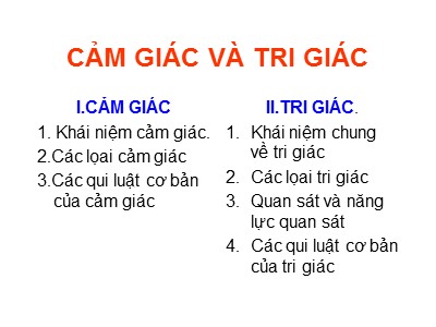 Bài giảng Cảm giác và tri giác