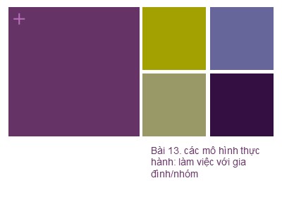 Bài giảng Công tác xã hội với người khuyết tật - Bài 13: Các mô hình thực hành Làm việc với gia đình/nhóm