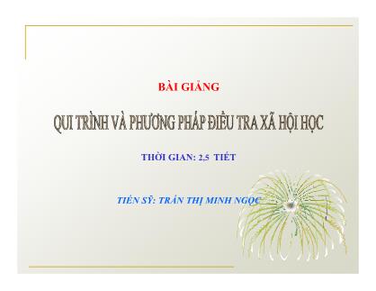 Bài giảng Quy trình và phương pháp điều tra xã hội học - Trần Thị Minh Ngọc