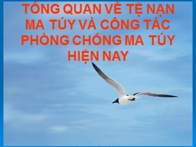 Bài giảng Tổng quan về tệ nạn ma túy và công tác phòng chống ma túy hiện nay