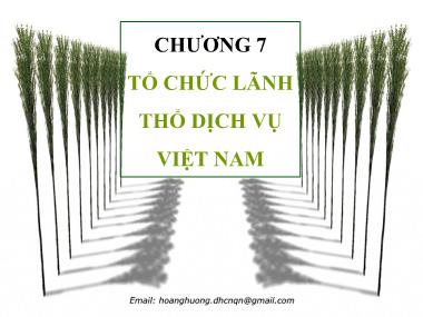 Giáo trình Địa Lý kinh tế - Chương 7: Tổ chức lãnh thổ dịch vụ Việt nam - Hoàng Thu Hương