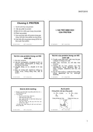 Giáo trình Hóa sinh - Chương 2: Protein - Phạm Hồng Hiếu