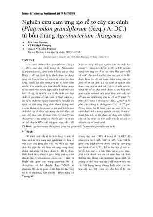 Giáo trình Nghiên cứu cảm ứng tạo rễ tơ cây cát cánh (Platycodon grandiflorum (Jacq.) A. DC.) từ bốn chủng Agrobacterium rhizogenes - Trà Đông Phương