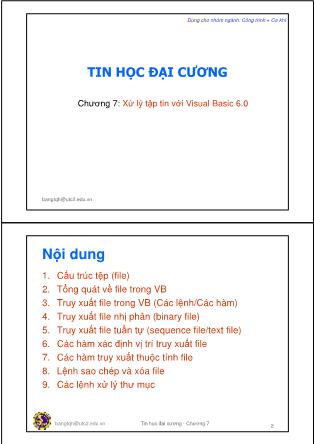 Giáo trình Tin học đại cương - Chương 7: Xử lý tập tin với Visual Basic 6.0 - Trần Quang Hải Bằng