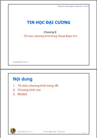 Giáo trình Tin học đại cương - Chương 8: Tổ chức chương trình Visual Basic 6.0 - Trần Quang Hải Bằng