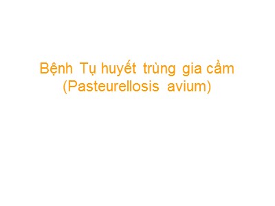 Bài giảng Bệnh Tụ huyết trùng gia cầm