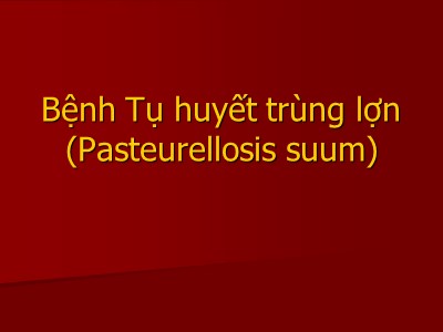 Bài giảng Bệnh Tụ huyết trùng lợn